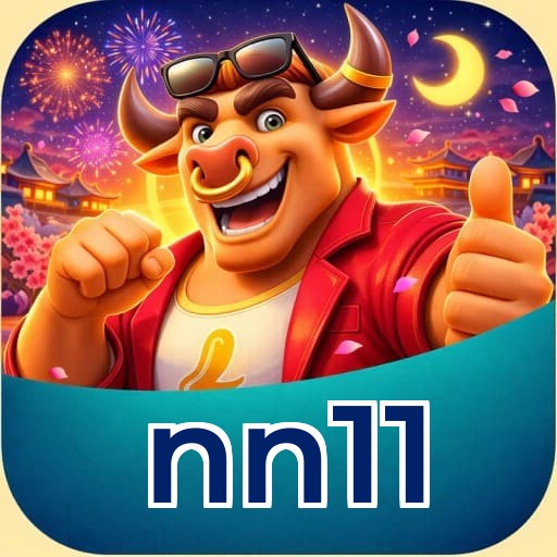 nn11