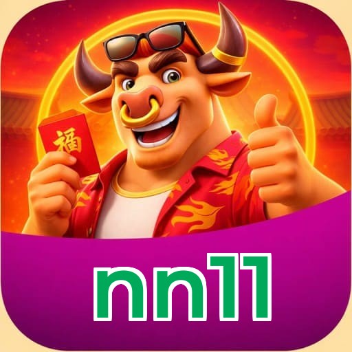 nn11