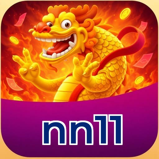 nn11