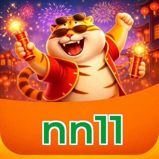 nn11