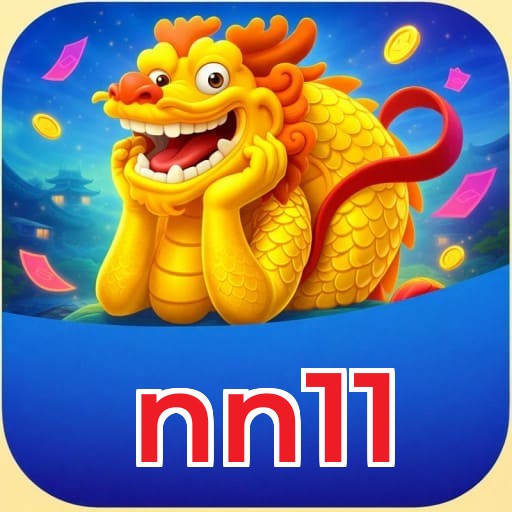 nn11