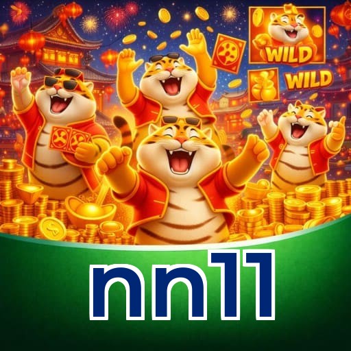 nn11