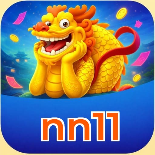 nn11