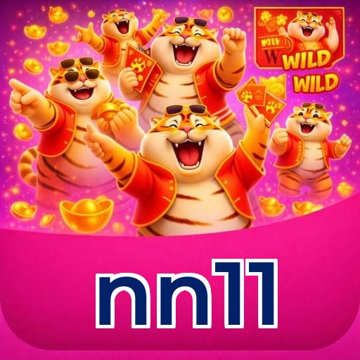 nn11