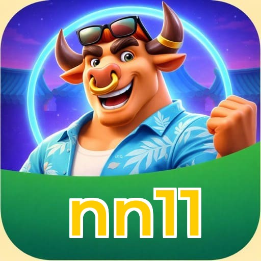 nn11